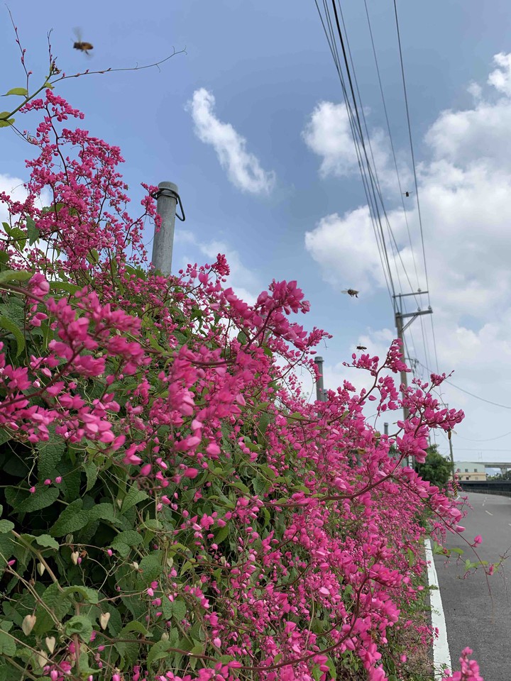 花