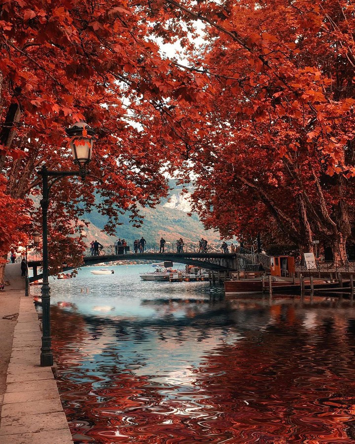 Fall