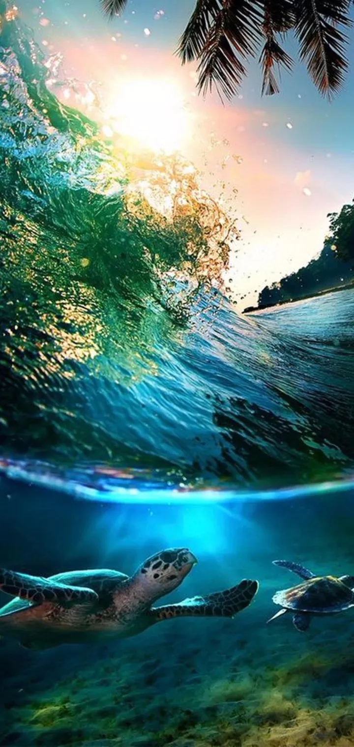Nature