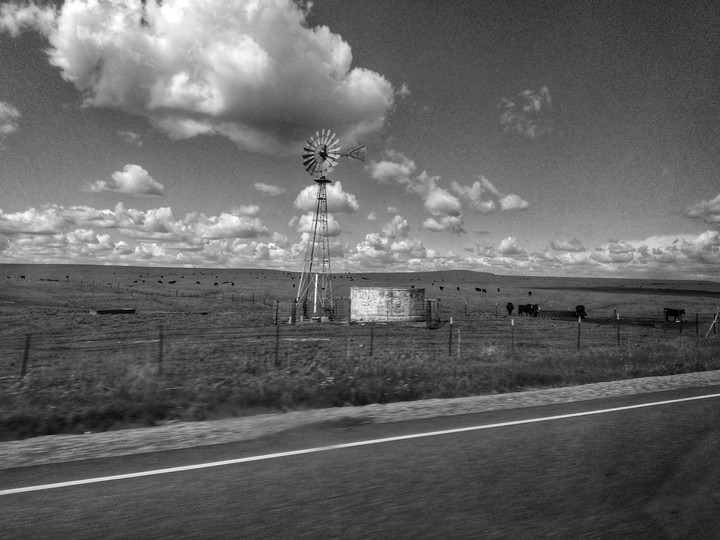 Farmland