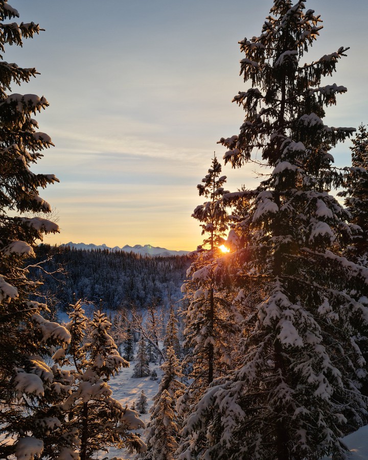 winter
