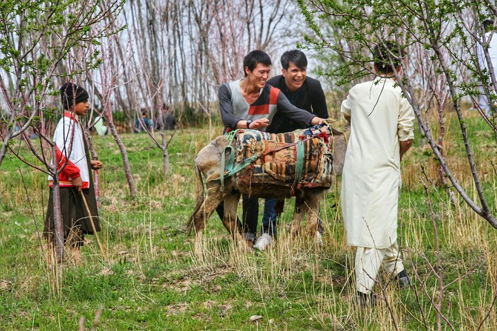 a small picnic