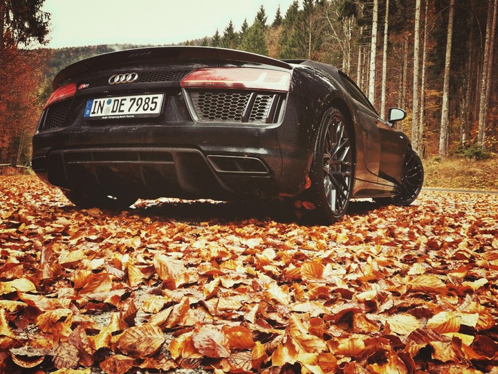 audi r8