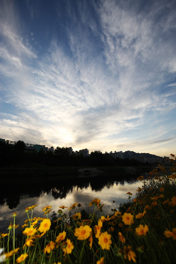 Scenics