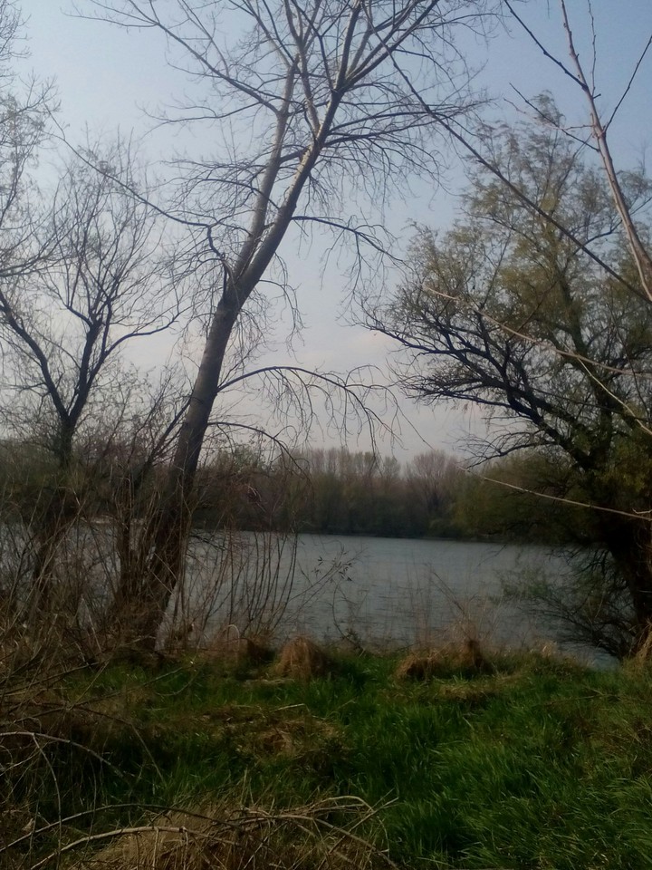 Dunav