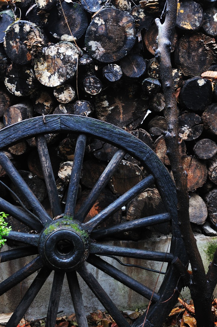 Wheel