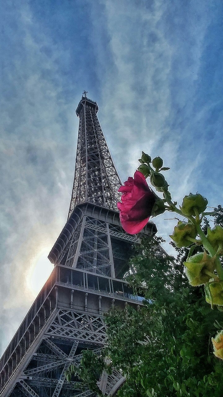 TourEiffel