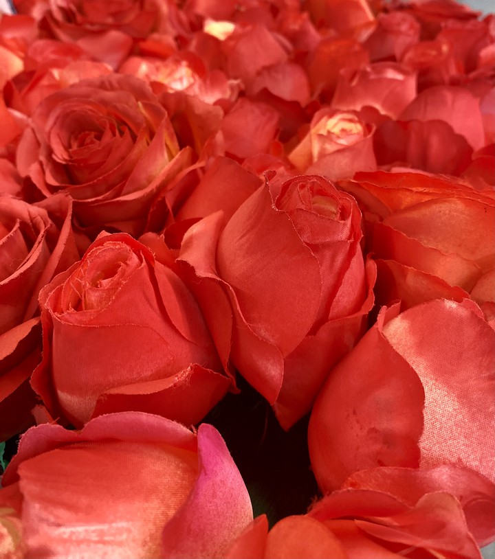 Love and roses