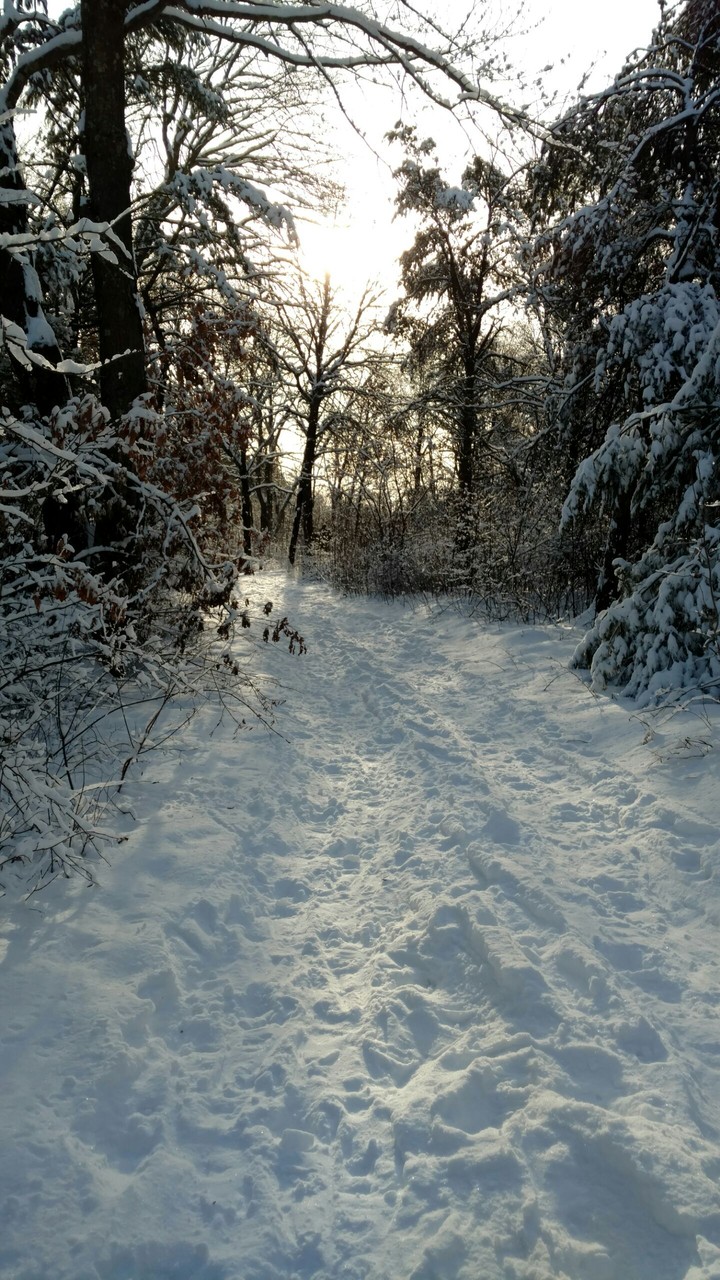 Lake Wazee Park