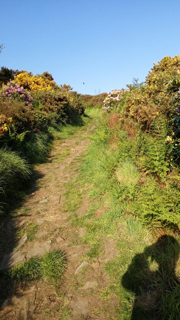 Countryside path