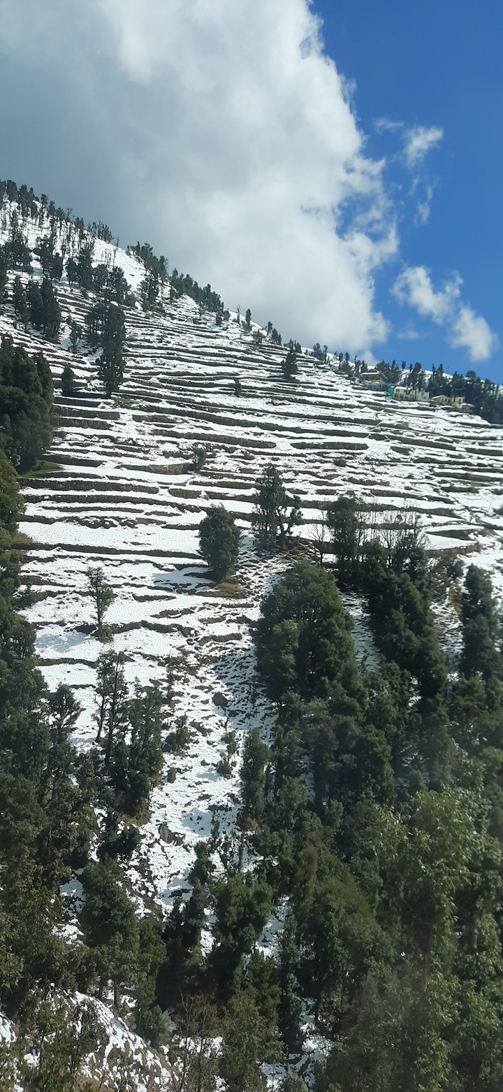 Snow