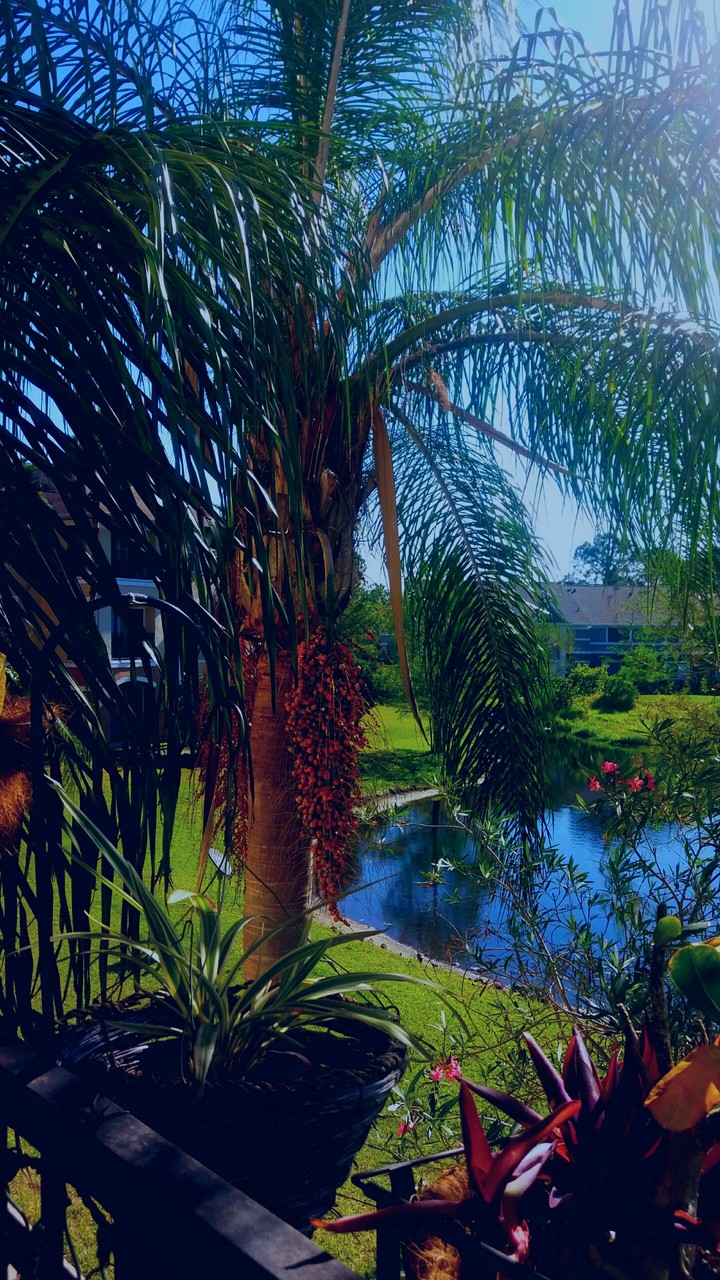 beautiful morning