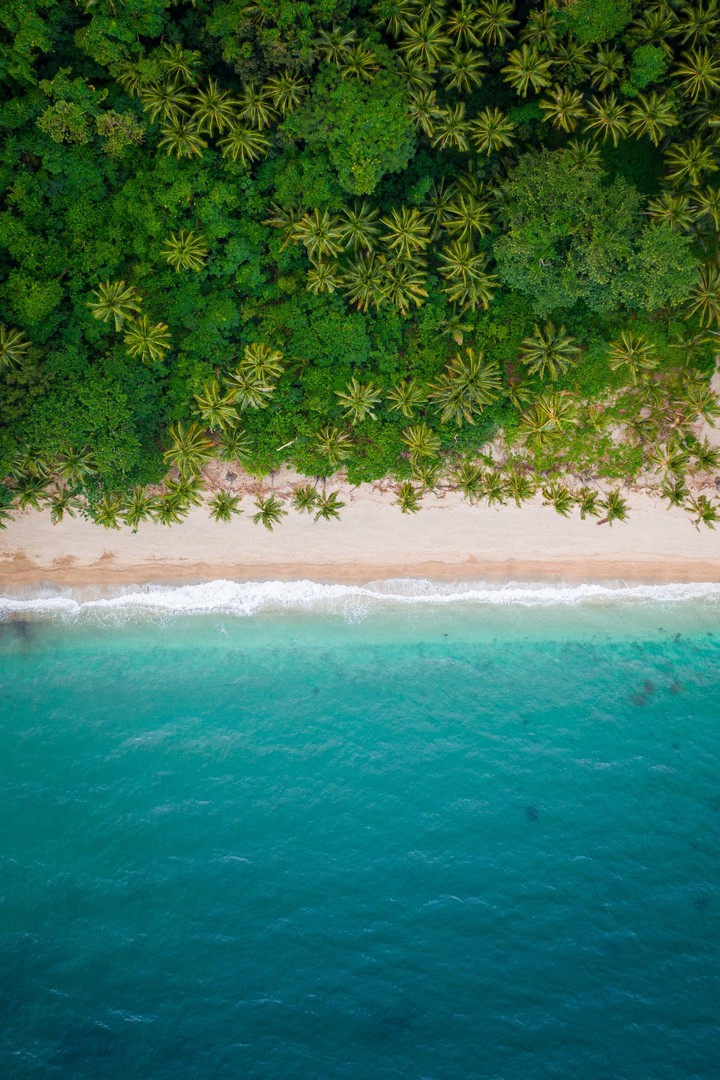 fondos de pantalla caribbean, shore