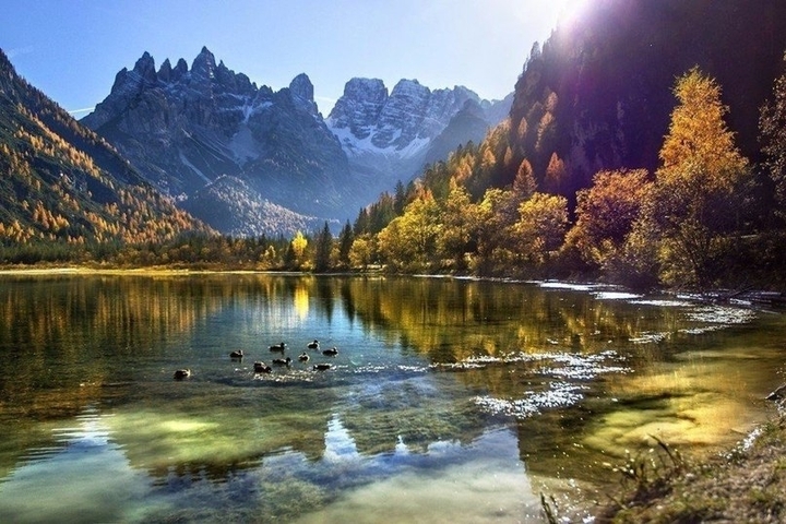 краски лета
