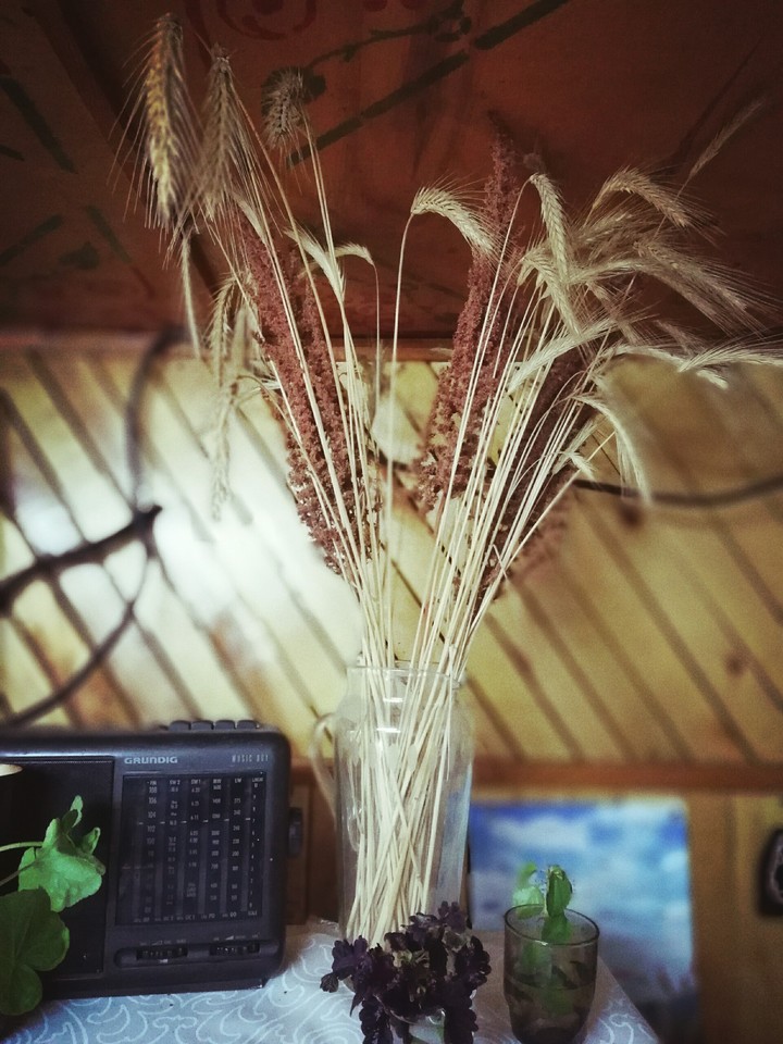 ikebana radio