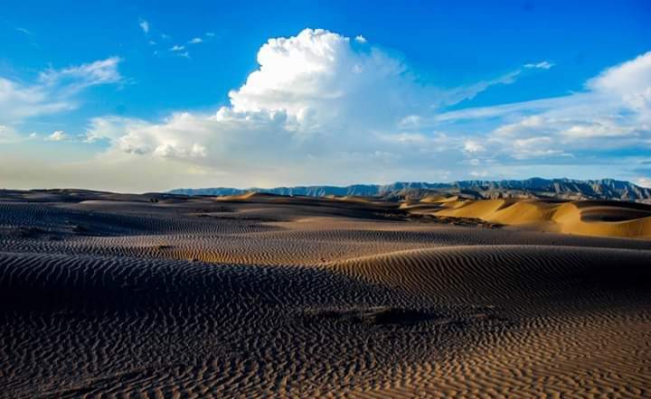 dunas de Bilbao Viesca Coahuila Mexico