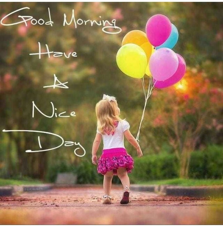 good morning