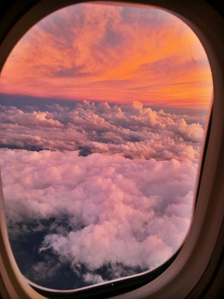 fly