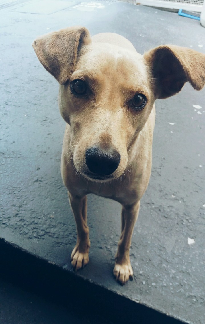 olha esse olhar? toca la na alma ❤