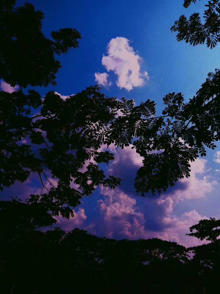 sky