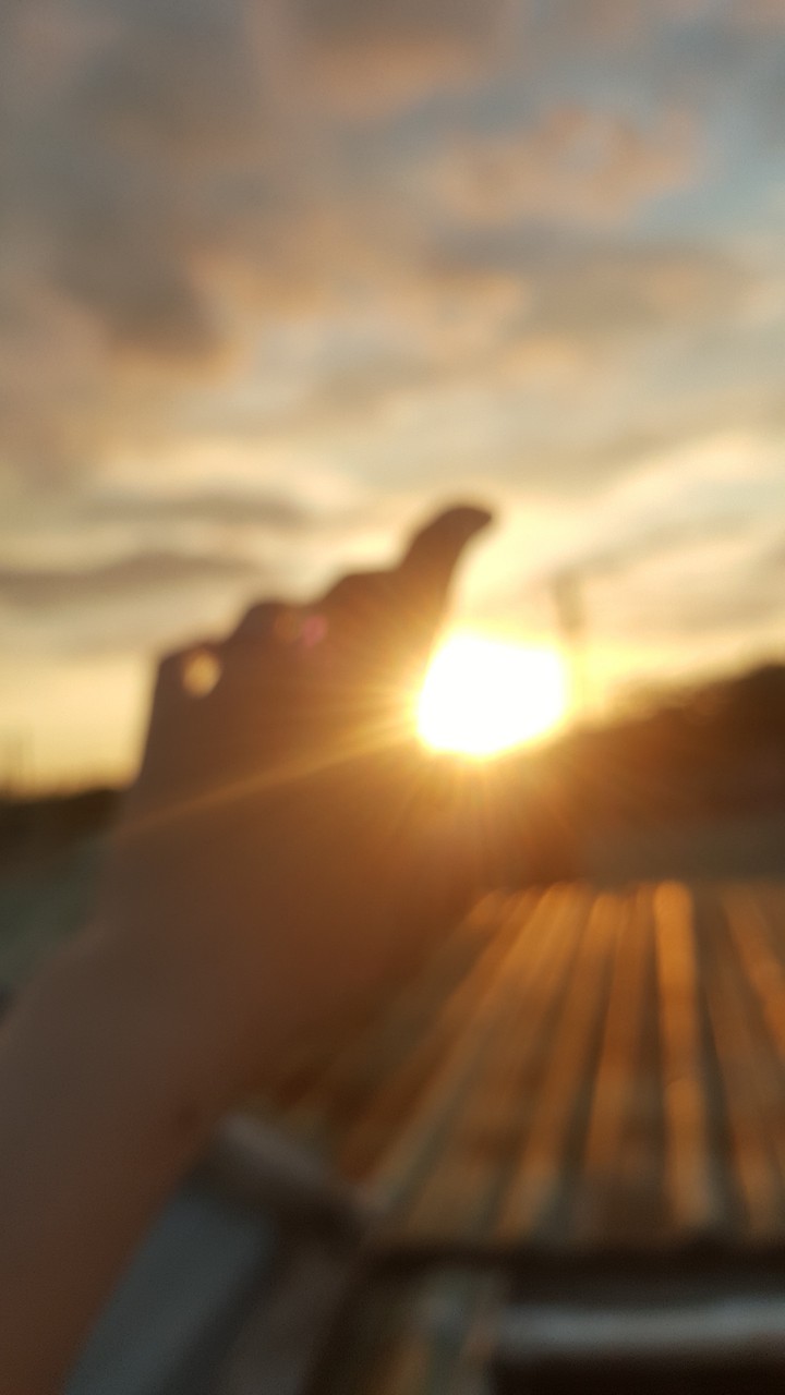 The Light of Life