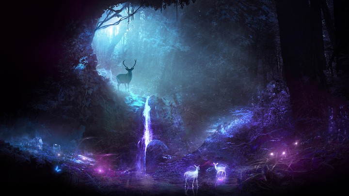 Deer