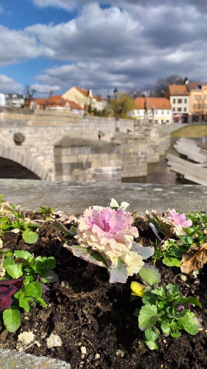 beautiful spring