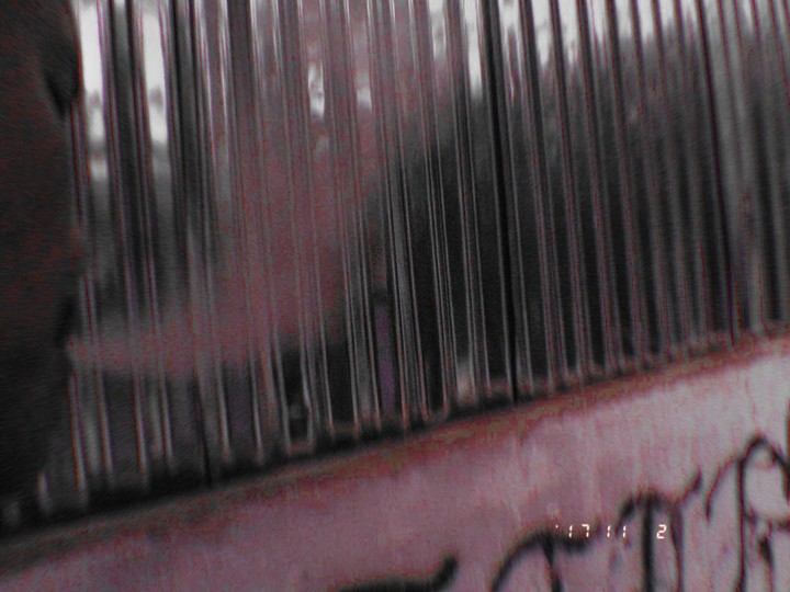 the smoker.