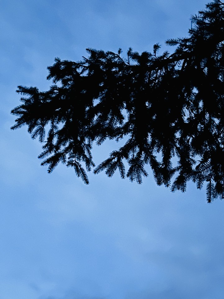 Stillness