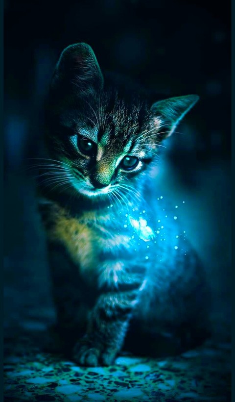 тапети blue, iris