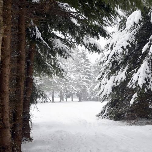Snow