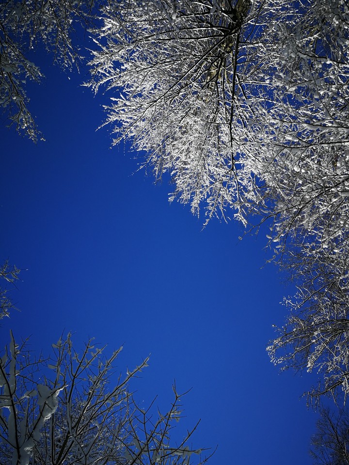 Blue Sky