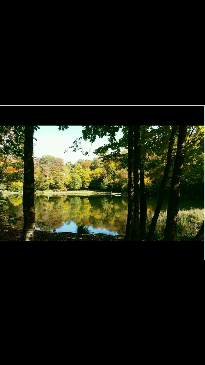 Gosh Lake