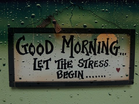 Good morning