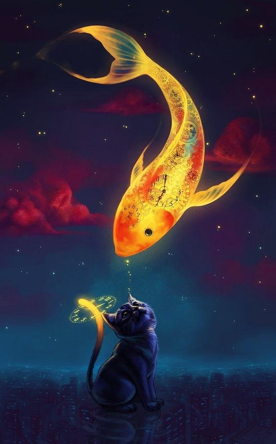 time fish