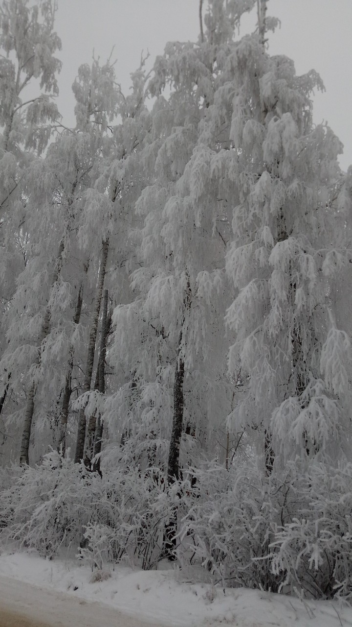 зима