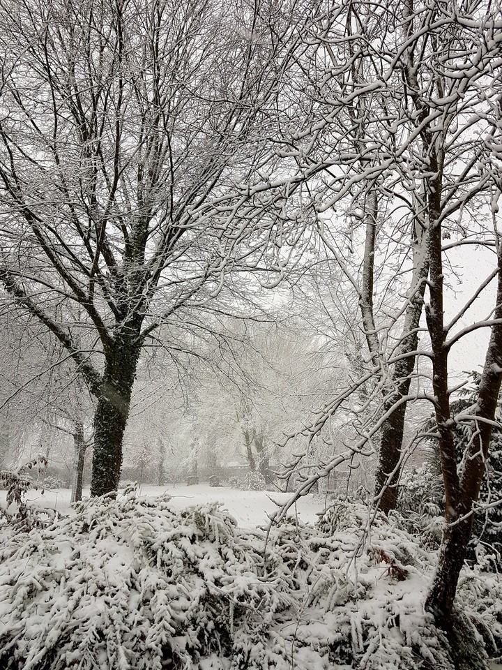 Winterwonderland