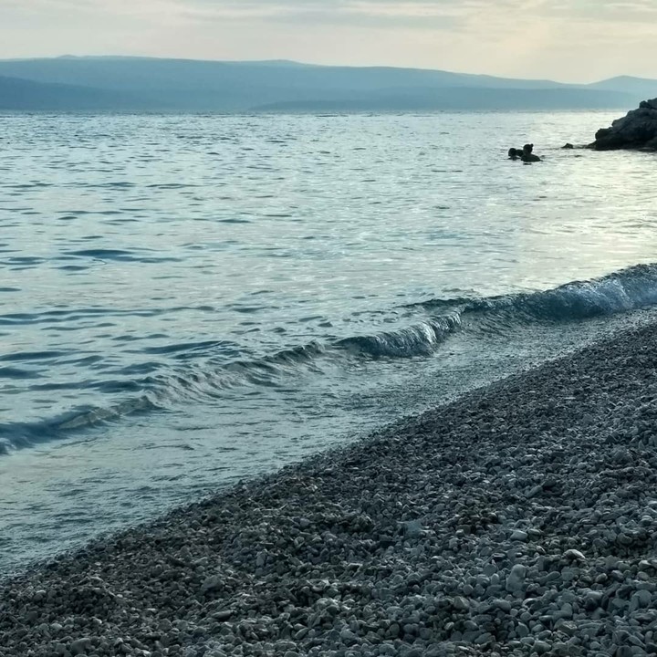 Waves