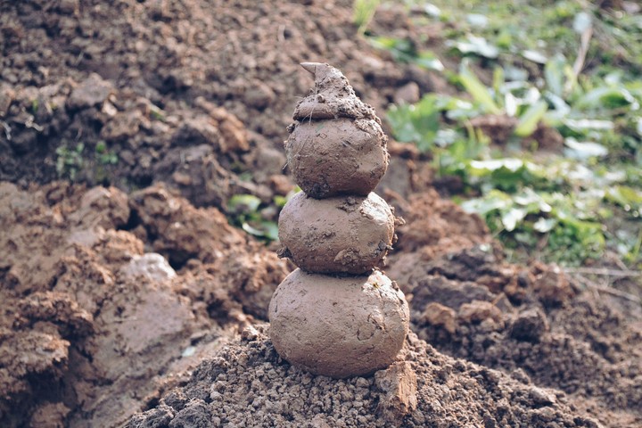 Весёлая была практика по почвоведенью )