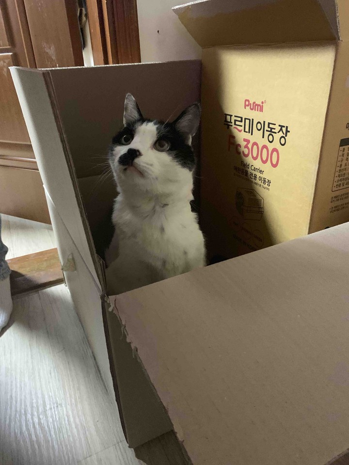 boxx