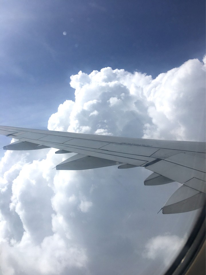 Clouds floating in the blue. ☁️
