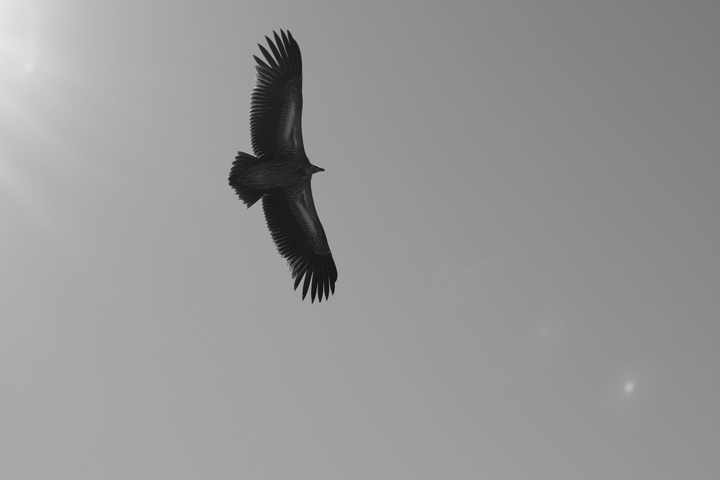 Nikon D5200 photography