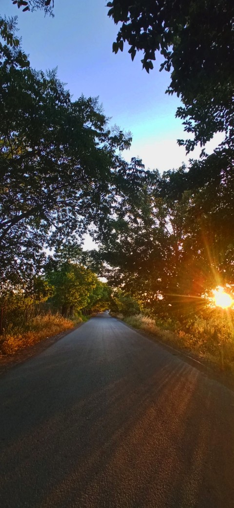тапети road, sunlight