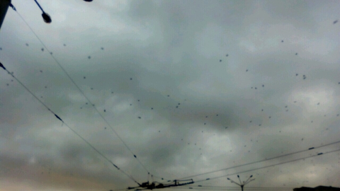 sky ✨