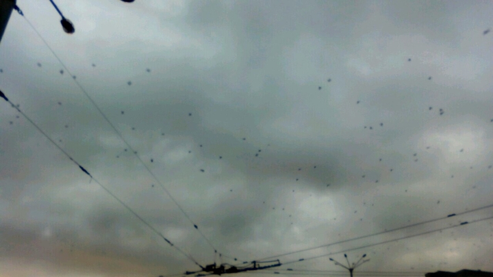 sky ✨