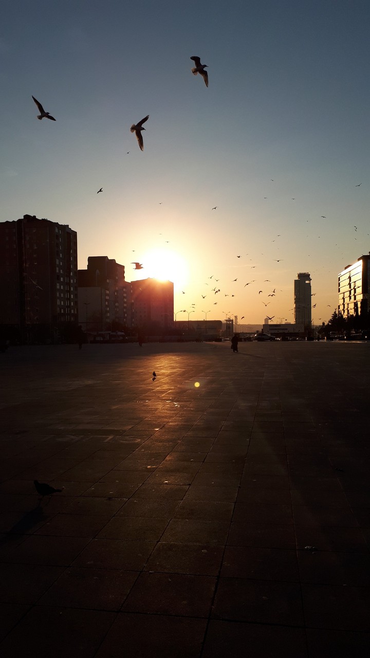 Sunrise