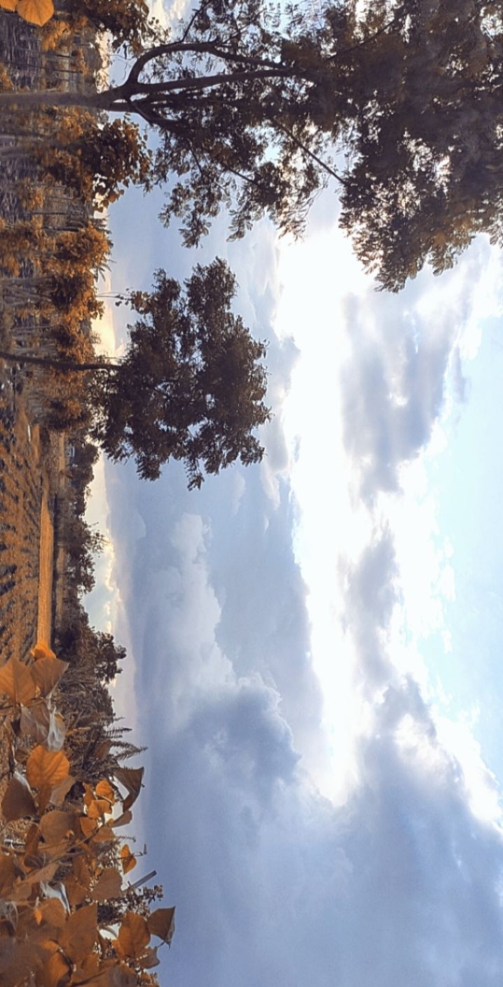 Clouds