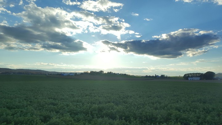 Field and Sun in Pennsylvania