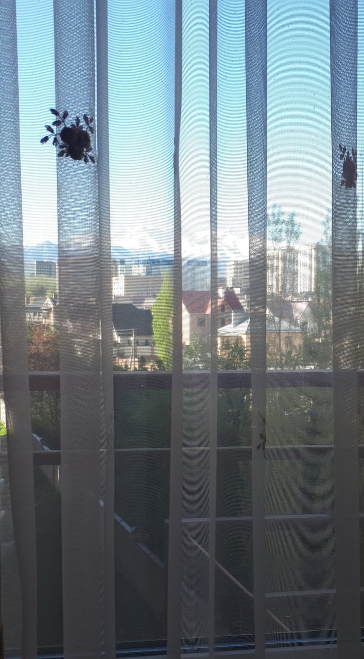 View from the window