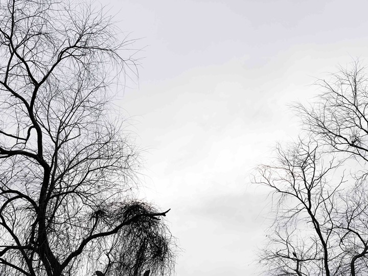 winter